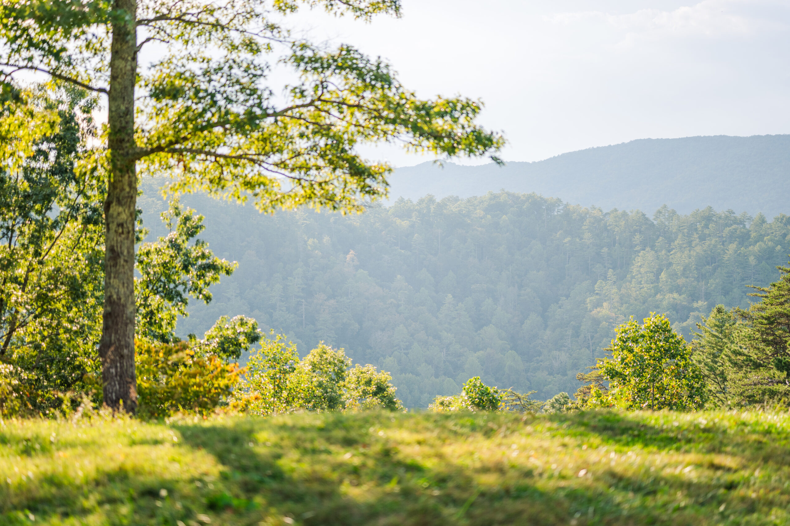 A photo of nearby mountains from a field off of the Foothills Parkway in the Great Smoky Mountains National Park in Townsend