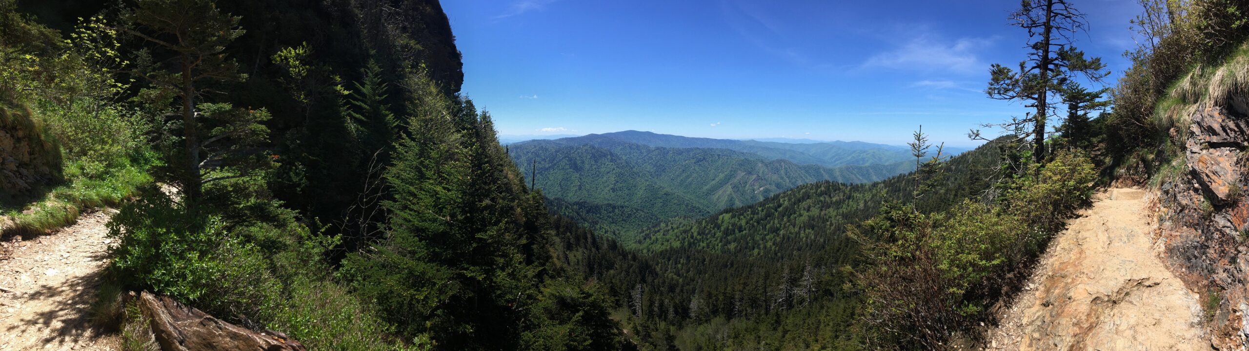View from the hike to Mount LeConte in the Great Smoky Mountains National Park